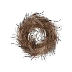 an animal's fur is shown on a white background and it appears to be curled up