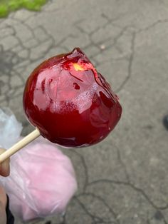 a person holding a large piece of fruit with a stick in it's hand