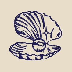 an ink drawing of a seashell on a beige background