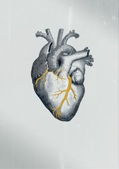 a drawing of a human heart with yellow vein