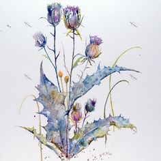 a watercolor painting of purple flowers on a white background