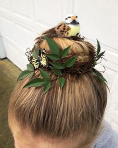 Cats In Halloween Costumes, Birds Nest