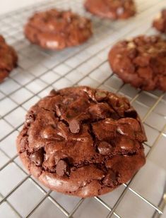 chocolate cookies cooling on a wire rack