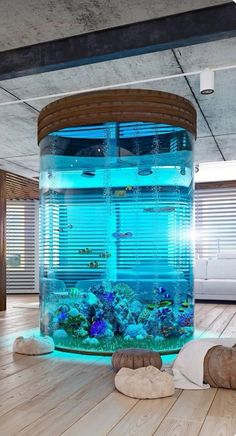 an aquarium in the middle of a room