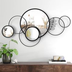 three circular mirrors mounted to the side of a wall next to a potted plant