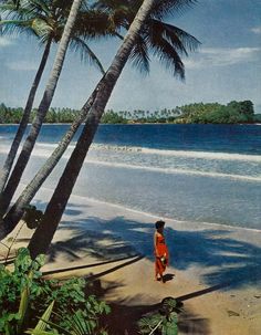 a woman standing on top of a sandy beach next to palm tree's and ocean