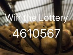 Grabovoi Numbers – Win the Lottery – 4610567 – Números Grabovoi / Grabovoi Numbers Grabovoi Codes Win Lottery, Grabovoi Codes Activation, Manifesting Winning The Lottery, Grabovoi Codes Numbers Money, Grabovoi Codes Numbers How To Use, Grabovoi Codes Numbers, Grigori Grabovoi Numbers, Win Lottery