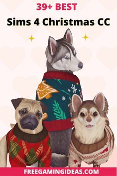 three dogs wearing sweaters and standing next to each other in front of a pink background