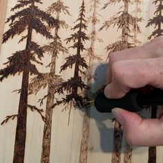 a person using a tool to cut wood with trees on the wall behind them,