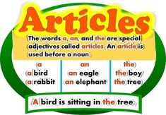 the words are arranged in different ways to describe an animal's habitat and how it is