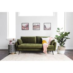 a green couch sitting in front of a window next to a potted plant on top of a rug