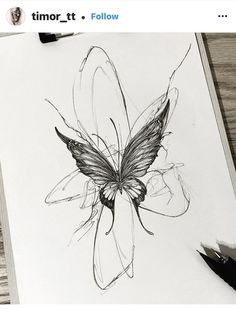 a pencil drawing of a butterfly on paper