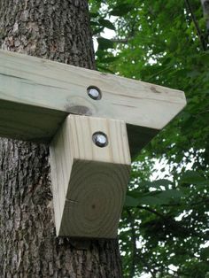 a wooden bird house attached to a tree