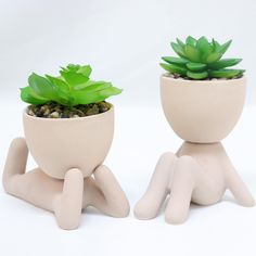 two ceramic planters sitting next to each other on top of a white surface with succulents in them