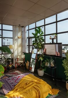 a living room filled with lots of plants next to large windows on top of a roof