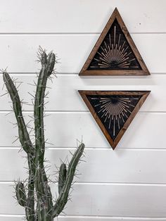 a cactus in a pot next to two decorative wall hangings