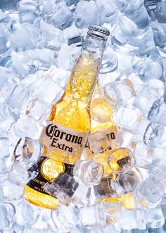 a bottle of corona extra sitting on top of ice