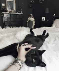 a person petting a black cat laying on top of a white bedspread