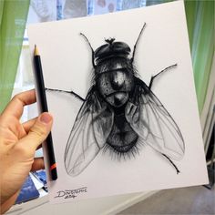 a drawing of a bee on paper with a pencil in it's left hand