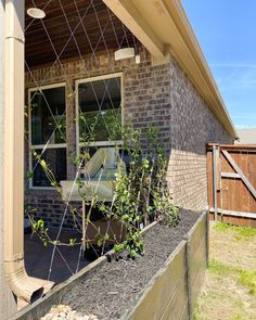 a house that has some plants growing in the window sill and on the outside