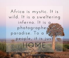 an image of a tree in the desert with a quote about africa on it that says, africa is mystic it is wild