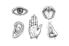 hand and eye with different types of human body parts, including an ear, nose, mouth