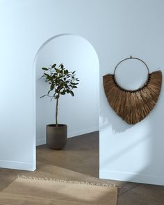 a potted plant sitting next to an arch in a white walled room with a rug on the floor