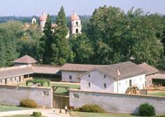 an aerial view of several buildings with trees in the background