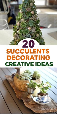 some succulents are sitting on a wooden table with the title 20 succulent's decorating creative ideas