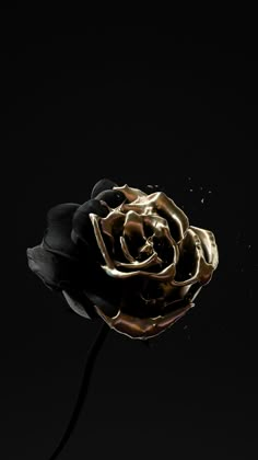 a black and gold flower on a dark background