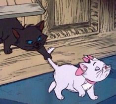 two cats playing with each other in front of a cat house and another cat looking at it