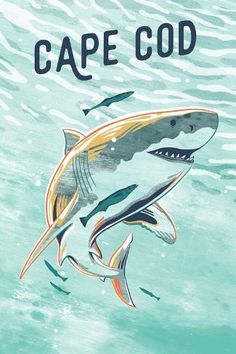 a card with an image of a shark and the words cape cod on it