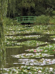 a pond with lily pads and a green bridge in the background