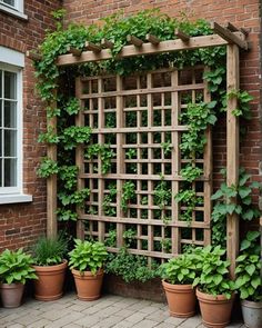 a wooden trellis surrounded by potted plants