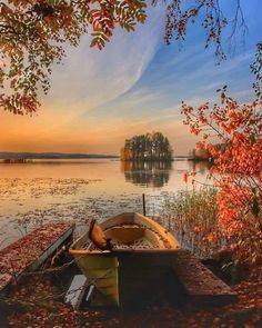 a boat sitting on top of a body of water next to a forest filled with leaves