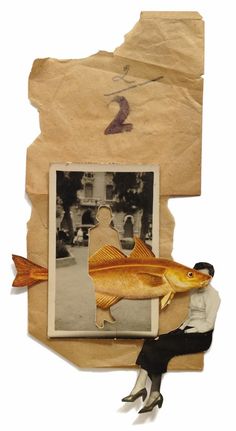 an altered photograph of a fish on top of a piece of brown paper next to a black and white dog