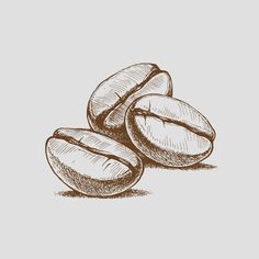 coffee beans drawn by hand on a white background, isolated from the top view with clippings