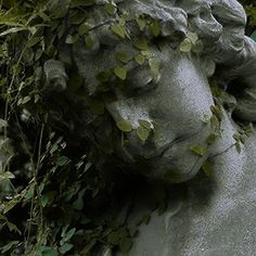 a stone statue with ivy growing on it's face and head surrounded by greenery