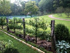 a garden with lots of trees and plants in the grass next to a river or lake