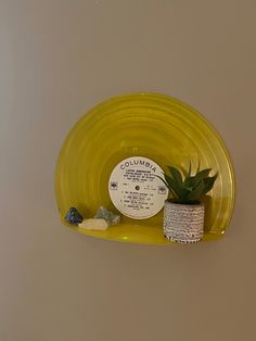 a yellow shelf with a potted plant on top of it and a label that says columbia