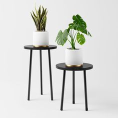 two black and white side tables with plants on them, one has a potted plant