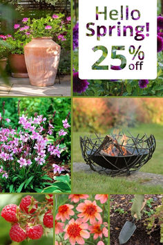 Collage of outdoor spring plants, a firepit and garden tools with text graphic that says "Hello Spring! 25% off" Pots Garden, Outdoor Light, Planter Boxes, Mulch, Plant Stand