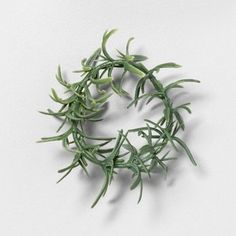 a close up of a plant on a white surface