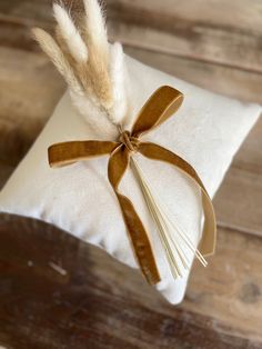 a white pillow with a feather on it and some brown ribbon tied around the edge