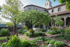 a garden with lots of plants and trees in front of a building