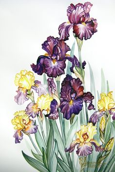 a painting of purple and yellow flowers on a white background