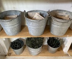 three metal buckets filled with plants on top of a shelf