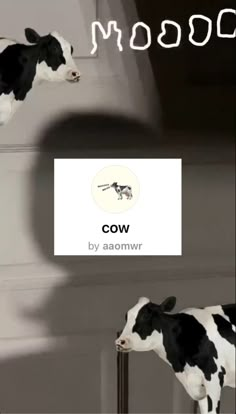 two black and white cows standing next to each other in front of a sign that says cow