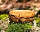 a wooden bowl sitting on top of a moss covered ground with trees in the background