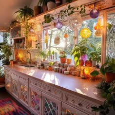 a kitchen filled with lots of potted plants and lights hanging from the window sill